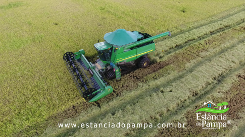 DOS EÓLICOS VIRA P FAZENDA_Moment.00_02_07_21.Quadro057_f96705c27fefa40ecd59dcea98409d4094d15b1a.png